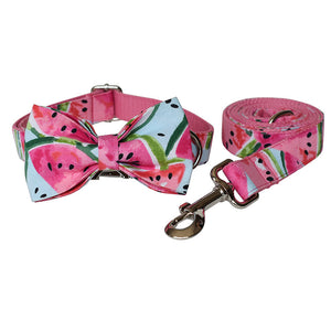 Pet Supplies Dog Collar Pet Leash Gizmokings Warehouse