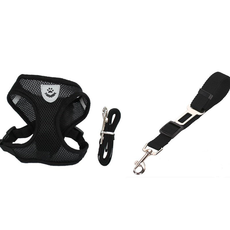 Pet Car Seat Belt Pet Leash Gizmokings Warehouse