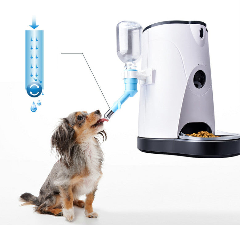 Pet automatic feeder Gizmokings Warehouse