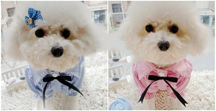 Bubble Sleeve Bow Tie Pet Shirt Gizmokings Warehouse