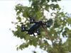 OTRC FY602 Air-Road RC Drone Car 2 in 1 Flying Car 2.4G RC Quadcopter Drone 6-Axis 4CH Helicopter With HD Camera High Speed 4WD Gizmokings Warehouse