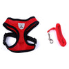 Pet Car Seat Belt Pet Leash Gizmokings Warehouse