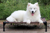 Pet bed dog moisture-proof removable washable stack dog bed Oxford cloth camp bed Gizmokings Warehouse