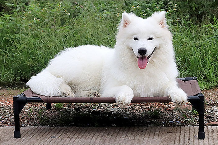 Pet bed dog moisture-proof removable washable stack dog bed Oxford cloth camp bed Gizmokings Warehouse