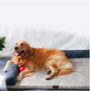 Pawsitively Regal: The Ultimate Sofa Bed Fit for Your Furry Monarch Gizmokings Warehouse
