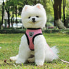 Pet Car Seat Belt Pet Leash Gizmokings Warehouse