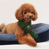 Pet scarf Gizmokings Warehouse