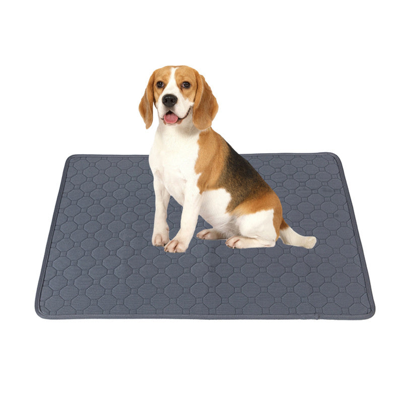 Pet Parents Pads Washable Dog Pee Pads Of Premium Pee Pads For Dogs Waterproof Training Pads For Dogs  Reusable Dog Pee Pads Modern Puppy Pads Gizmokings Warehouse