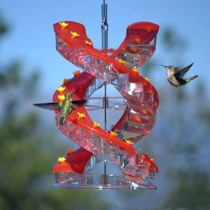 Mesmerizing Spiral Ladder Feeder—Invite a Hummingbird Spectacle to Your Backyard Gizmokings Warehouse