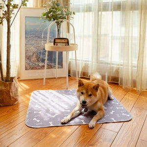 Pet Washable Reusable Urine Pads Gizmokings Warehouse