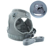 Pet Car Seat Belt Pet Leash Gizmokings Warehouse