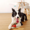 Pet Toy Chew Resistant Dog Molar Stick Gizmokings Warehouse