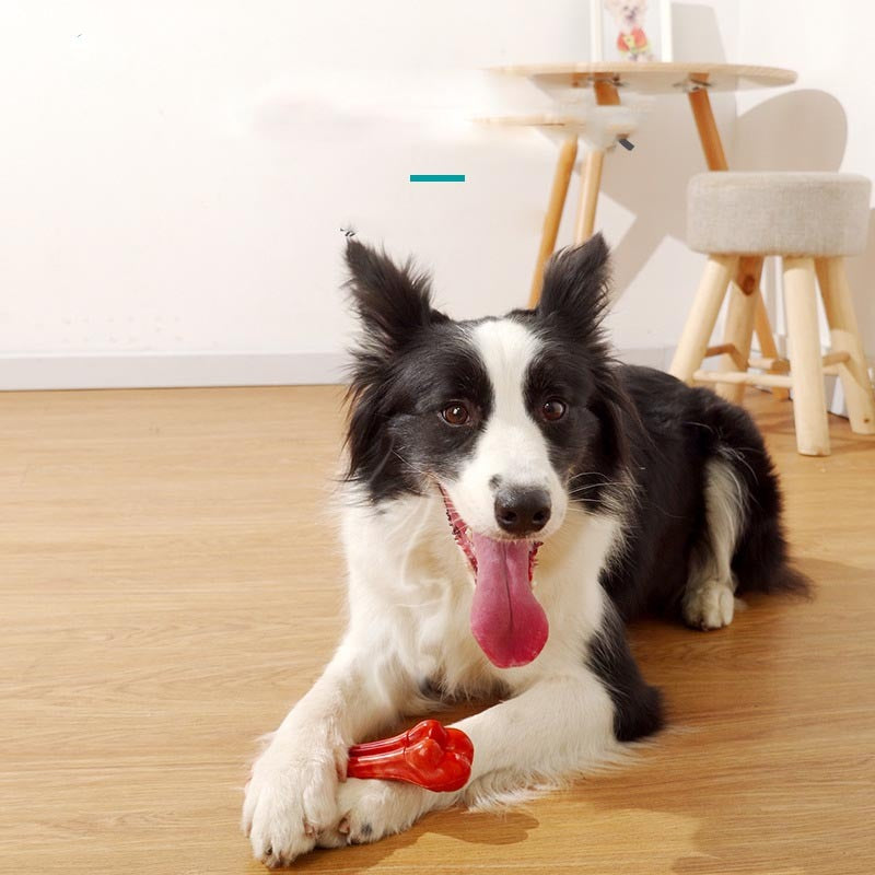 Pet Toy Chew Resistant Dog Molar Stick Gizmokings Warehouse